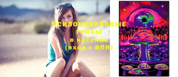 бошки Алексин
