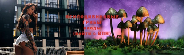 бошки Алексин