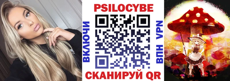 Псилоцибиновые грибы Cubensis Юрьевец